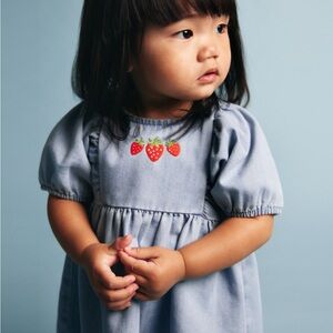 EUC H&M Strawberry Denim dress